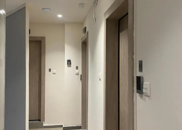 Rainbow * Salonic